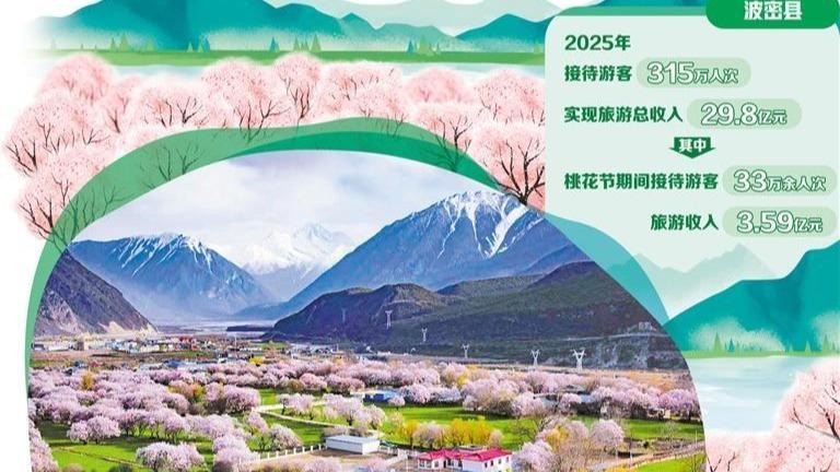 西藏波密 “桃花红”化作“发展红”