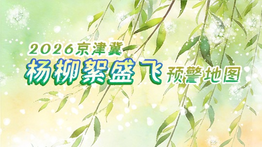 2026杨柳絮盛飞预警来了 京津冀即将全面进入盛飞期