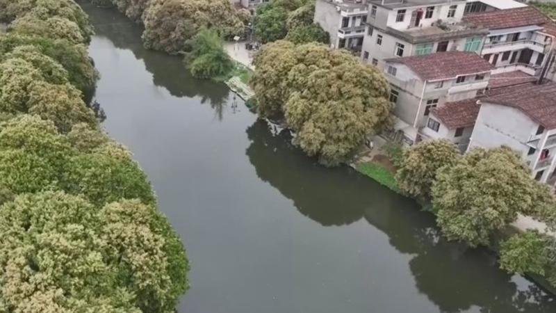 幸福河湖有国标了！莆田这条河用AI把“治水”变“智水”