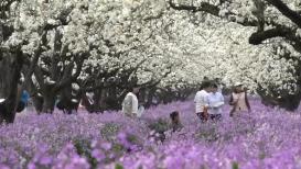 【新思想引领新征程】因地制宜 加快和美乡村建设