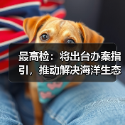 最高检：将出台办案指引，推动解决海洋生态损害鉴定评估等难题