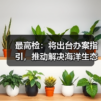 最高检：将出台办案指引，推动解决海洋生态损害鉴定评估等难题