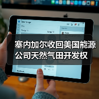 塞内加尔收回美国能源公司天然气田开发权