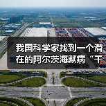 我国科学家找到一个潜在的阿尔茨海默病“干预开关”