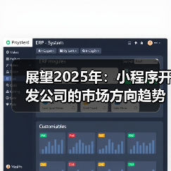 展望2025年：小程序开发公司的市场方向趋势分析与市场策略
