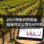 2025年软件开发商、小程序开发公司与APP开发公司的市场方向及行业趋势预测 2025年软件开发商、小程序开发公司与APP开发公司的市场方向及行业趋势预测