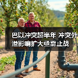 巴以冲突超半年 冲突外溢影响扩大亟需止战