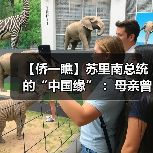 【侨一瞧】苏里南总统的“中国缘” ：母亲曾在华人超市工作