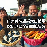 广州黄埔暹岗大山被采挖坑洞已全部回填复绿（图2）