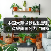 中国大蒜做梦也没想到，竟被美国列为“国家安全威胁”（图2）