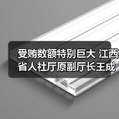 受贿数额特别巨大 江西省人社厅原副厅长王成兵被提起公诉