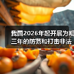 我国2026年起开展为期三年的防范和打击非法金融活动总体战