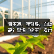 胃不适、腰背酸、血糖高？警惕“癌王”发出的预警信号（图2）