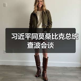 习近平同莫桑比克总统查波会谈（图3）
