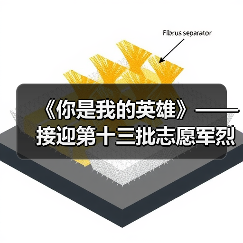 《你是我的英雄》——接迎第十三批志愿军烈士遗骸回家（图3）