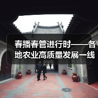 春播春管进行时——各地农业高质量发展一线观察（图4）