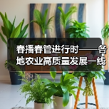 春播春管进行时——各地农业高质量发展一线观察（图3）
