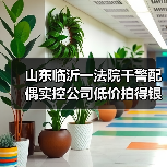 山东临沂一法院干警配偶实控公司低价拍得银行债权 官方通报：组成联合调查组（图4）