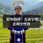 新华微评：方块字何以走向全世界（图2）
