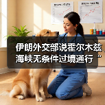 伊朗外交部说霍尔木兹海峡无条件过境通行“已成历史”（图4）