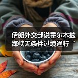 伊朗外交部说霍尔木兹海峡无条件过境通行“已成历史”（图3）