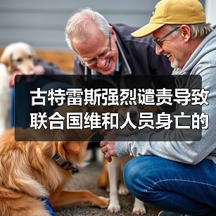 古特雷斯强烈谴责导致联合国维和人员身亡的袭击事件（图3）