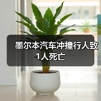 墨尔本汽车冲撞行人致1人死亡（图2）