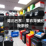 湖北巴东：果农采摘伦晚脐橙（图2）