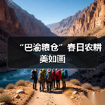 “巴渝粮仓”春日农耕美如画（图2）