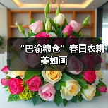 “巴渝粮仓”春日农耕美如画