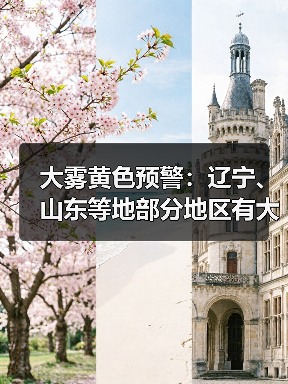 大雾黄色预警：辽宁、山东等地部分地区有大雾 局地有能见度不足200米（图2）