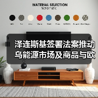 泽连斯基签署法案推动乌能源市场及商品与欧盟标准接轨（图4）