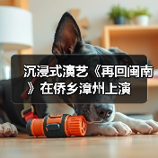 沉浸式演艺《再回闽南》在侨乡漳州上演（图2）