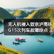 无人机侵入致京沪高铁G15次列车故障晚点 正在逐步恢复（图2）