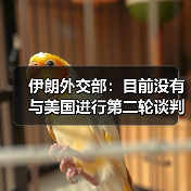 伊朗外交部：目前没有与美国进行第二轮谈判的计划（图4）