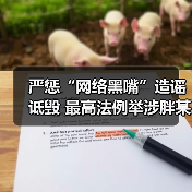 严惩“网络黑嘴”造谣诋毁 最高法例举涉胖某公司案件（图4）
