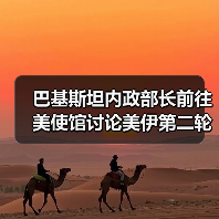 巴基斯坦内政部长前往美使馆讨论美伊第二轮谈判事宜（图4）