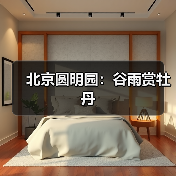 北京圆明园：谷雨赏牡丹