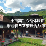 “小而美”心动体验汇聚成春日文旅新活力 亮眼数据勾勒消费新图景（图2）