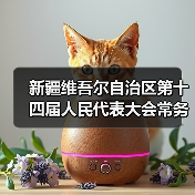 新疆维吾尔自治区第十四届人民代表大会常务委员会委员张国华接受纪律审查和监察调查（图3）