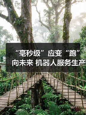 “毫秒级”应变“跑”向未来 机器人服务生产一线全产业链崛起加速出海（图4）