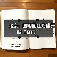 北京：圆明园牡丹盛开迎“谷雨”（图2）