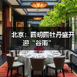 北京：圆明园牡丹盛开迎“谷雨”（图3）
