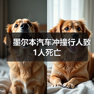 墨尔本汽车冲撞行人致1人死亡（图3）