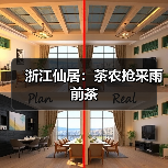 浙江仙居：茶农抢采雨前茶（图4）