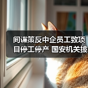 间谍策反中企员工致项目停工停产 国安机关披露详情（图4）