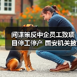 间谍策反中企员工致项目停工停产 国安机关披露详情（图2）
