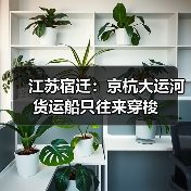 江苏宿迁：京杭大运河货运船只往来穿梭（图2）
