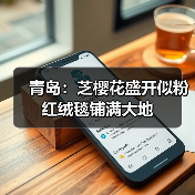 青岛：芝樱花盛开似粉红绒毯铺满大地（图2）