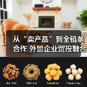 从“卖产品”到全链条合作 外贸企业贸投融合加速中国品牌出海